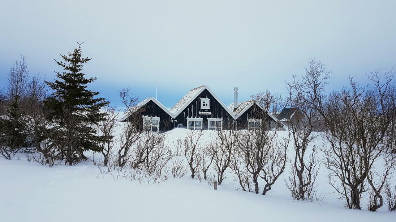 Þingvellir Golden Circle Cottage Veithilundur Luaran gambar