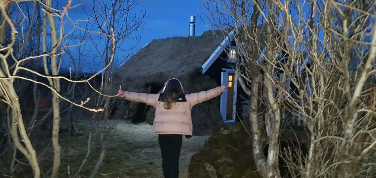 Þingvellir Golden Circle Cottage Veithilundur Luaran gambar